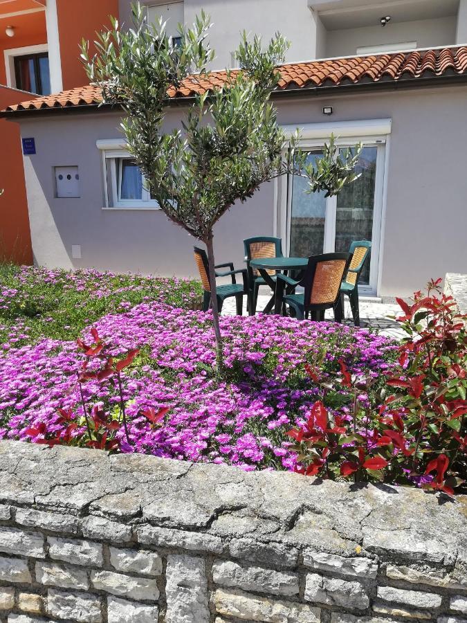Apartment Lavanda Premantura Exteriér fotografie